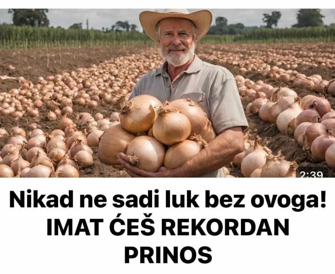 Nikad ne sadi luk bez ovoga! IMAT ĆEŠ REK0RDAN PRIN0S - featured image