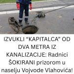 IZVUKLI “KAPITALCA” OD DVA METRA IZ KANALIZACIJE: Radnici UŽASNUTI prizorom u ovom naselju! (FOTO) IZVUKLI “KAPITALCA” OD DVA METRA IZ KANALIZACIJE: Radnici UŽASNUTI prizorom u ovom naselju! (FOTO) - featured image