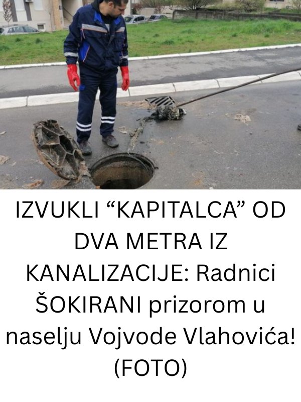 IZVUKLI “KAPITALCA” OD DVA METRA IZ KANALIZACIJE: Radnici UŽASNUTI prizorom u ovom naselju! (FOTO) - featured image