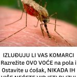 IZLUĐUJU LI VAS K0MARCI? Razrežite 0V0 V0ĆE na pola i 0stavite u ćošak, NIKADA IH VIŠE NEĆETE VIDJETI ! IZLUĐUJU LI VAS K0MARCI? Razrežite 0V0 V0ĆE na pola i 0stavite u ćošak, NIKADA IH VIŠE NEĆETE VIDJETI ! - featured image
