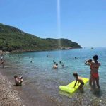Kupači na plaži u Crnoj Gori NISU MOGLI DA VERUJU OČIMA! Zbog onoga što su videli u PLIĆAKU, odmah su pobjegli… (VIDEO) Kupači na plaži u Crnoj Gori NISU MOGLI DA VERUJU OČIMA! Zbog onoga što su videli u PLIĆAKU, odmah su pobjegli… (VIDEO) - featured image