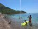 Kupači na plaži u Crnoj Gori NISU MOGLI DA VERUJU OČIMA! Zbog onoga što su videli u PLIĆAKU, odmah su pobjegli… (VIDEO) Kupači na plaži u Crnoj Gori NISU MOGLI DA VERUJU OČIMA! Zbog onoga što su videli u PLIĆAKU, odmah su pobjegli… (VIDEO) - featured image