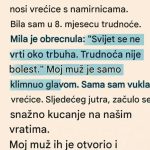 Svekrva joj rekla da trudnoća nije bolest, a onda je svekar doneo odluku koja je šokirala porodicu Svekrva joj rekla da trudnoća nije bolest, a onda je svekar doneo odluku koja je šokirala porodicu - featured image