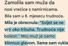 Svekrva joj rekla da trudnoća nije bolest, a onda je svekar doneo odluku koja je šokirala porodicu Svekrva joj rekla da trudnoća nije bolest, a onda je svekar doneo odluku koja je šokirala porodicu - featured image