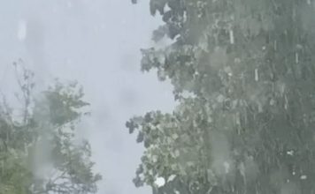 🚨 APOKALIPTIČNI PRIZORI IZ SRBIJE: Od kiše se ne vidi prst pred okom, grad uništava sve na svom putu! 🌩️👇 🚨 APOKALIPTIČNI PRIZORI IZ SRBIJE: Od kiše se ne vidi prst pred okom, grad uništava sve na svom putu! 🌩️👇 - featured image