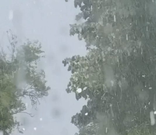 🚨 APOKALIPTIČNI PRIZORI IZ SRBIJE: Od kiše se ne vidi prst pred okom, grad uništava sve na svom putu! 🌩️👇 🚨 APOKALIPTIČNI PRIZORI IZ SRBIJE: Od kiše se ne vidi prst pred okom, grad uništava sve na svom putu! 🌩️👇 - featured image