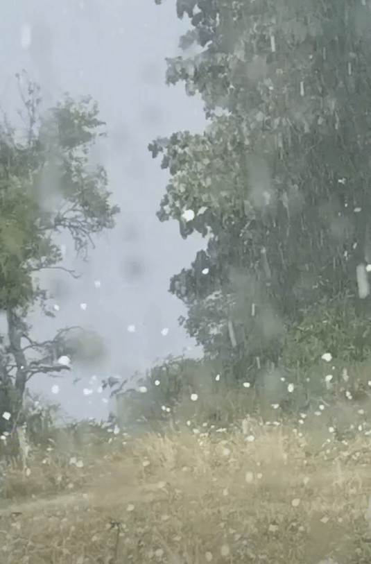 🚨 APOKALIPTIČNI PRIZORI IZ SRBIJE: Od kiše se ne vidi prst pred okom, grad uništava sve na svom putu! 🌩️👇 - featured image