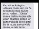“Kad mi se kolegica udavala znala sam da će bit roditelji mog bivšeg ..” “Kad mi se kolegica udavala znala sam da će bit roditelji mog bivšeg ..” - featured image