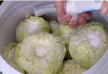 Koliko soli ide na 10 litara vode za kiseli kupus? Samo ovo je prava količina Koliko soli ide na 10 litara vode za kiseli kupus? Samo ovo je prava količina - featured image