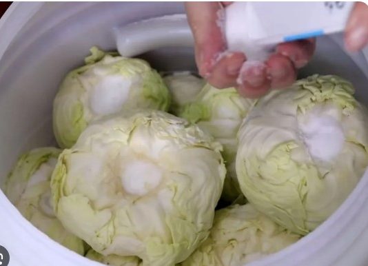 Koliko soli ide na 10 litara vode za kiseli kupus? Samo ovo je prava količina Koliko soli ide na 10 litara vode za kiseli kupus? Samo ovo je prava količina - featured image