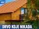 Drvo koje nikada ne treba saditi u dvorištu: Tjera sreću iz kuće i unosi bijedu, nesreću i maler Drvo koje nikada ne treba saditi u dvorištu: Tjera sreću iz kuće i unosi bijedu, nesreću i maler - featured image
