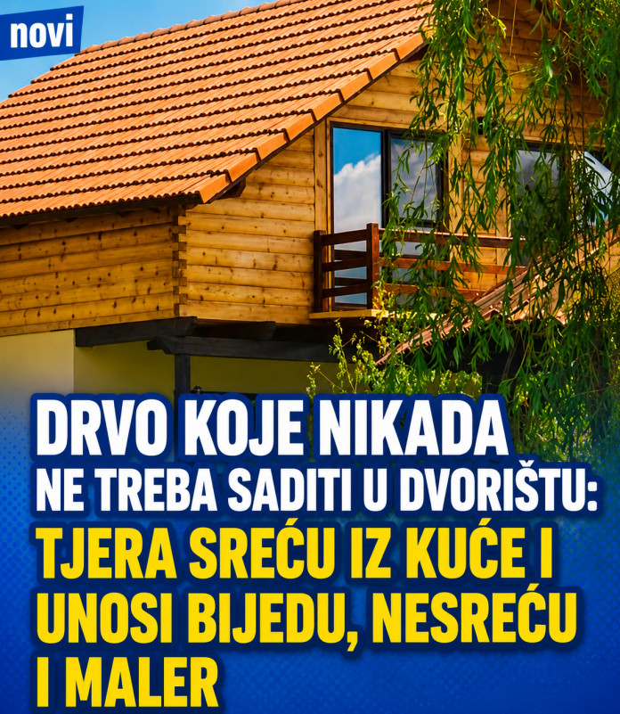 Drvo koje nikada ne treba saditi u dvorištu: Tjera sreću iz kuće i unosi bijedu, nesreću i maler - featured image Drvo koje nikada ne treba saditi u dvorištu: Tjera sreću iz kuće i unosi bijedu, nesreću i maler - featured image