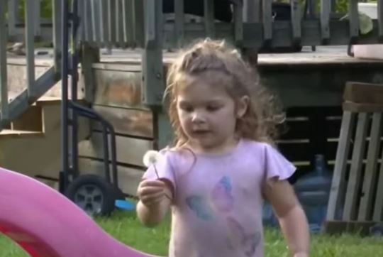 Djevojčica (2) danima ležala u ŠUMI: Kada su je pronašli, svojim riječima je RASPLAKALA cijelu zemlju - featured image Djevojčica (2) danima ležala u ŠUMI: Kada su je pronašli, svojim riječima je RASPLAKALA cijelu zemlju - featured image