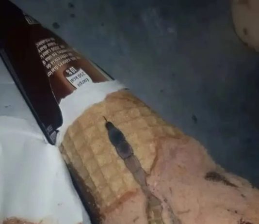 Moja ćerka je otvorila sladoled i unutra je našla nešto čudno — nismo odmah shvatili šta je to bilo. Moja ćerka je otvorila sladoled i unutra je našla nešto čudno — nismo odmah shvatili šta je to bilo. - featured image
