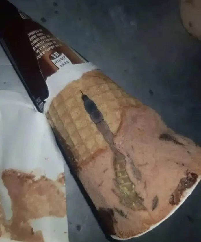 Moja ćerka je otvorila sladoled i unutra je našla nešto čudno — nismo odmah shvatili šta je to bilo. - featured image Moja ćerka je otvorila sladoled i unutra je našla nešto čudno — nismo odmah shvatili šta je to bilo. - featured image