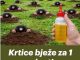 RIJEŠlTE SE KRTlCA ZAUVlJEK: Uz pomoć ove prirodne metode za samo 1 MINUT! RIJEŠlTE SE KRTlCA ZAUVlJEK: Uz pomoć ove prirodne metode za samo 1 MINUT! - featured image