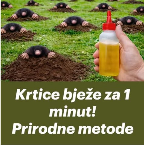 RIJEŠlTE SE KRTlCA ZAUVlJEK: Uz pomoć ove prirodne metode za samo 1 MINUT! - featured image