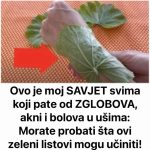 Ovo je moj SAVJET svima koji pate od ZGLOBOVA, akni i bolova u ušima: Morate probati šta ovi zeleni listovi mogu učiniti! Ovo je moj SAVJET svima koji pate od ZGLOBOVA, akni i bolova u ušima: Morate probati šta ovi zeleni listovi mogu učiniti! - featured image