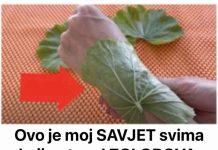 Ovo je moj SAVJET svima koji pate od ZGLOBOVA, akni i bolova u ušima: Morate probati šta ovi zeleni listovi mogu učiniti! Ovo je moj SAVJET svima koji pate od ZGLOBOVA, akni i bolova u ušima: Morate probati šta ovi zeleni listovi mogu učiniti! - featured image