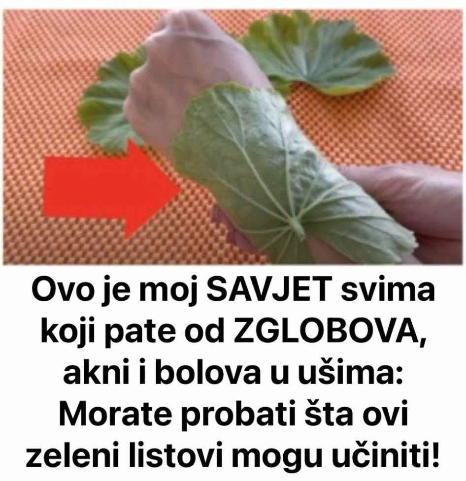 Ovo je moj SAVJET svima koji pate od ZGLOBOVA, akni i bolova u ušima: Morate probati šta ovi zeleni listovi mogu učiniti! - featured image