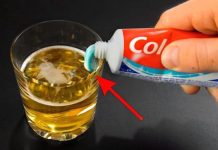 Uzmite čašu PIVA, obične paste za zube i dobro sačuvajte ovaj domaći trik: Koristim ga godinama i preporučujem svima! Uzmite čašu PIVA, obične paste za zube i dobro sačuvajte ovaj domaći trik: Koristim ga godinama i preporučujem svima! - featured image