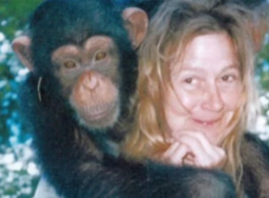 Sandra se godinama kupala i spavala sa šimpanzom ne sluteći šta će joj se desiti: Od užasa koji je doživela ni danas se nije oporavila Sandra se godinama kupala i spavala sa šimpanzom ne sluteći šta će joj se desiti: Od užasa koji je doživela ni danas se nije oporavila - featured image