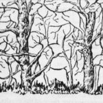 Prva životinja koju vidite na ilustraciji otkriće vam apsolutno sve o vašoj ličnosti i to bez greške Prva životinja koju vidite na ilustraciji otkriće vam apsolutno sve o vašoj ličnosti i to bez greške - featured image