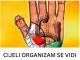 CIJELI ORGANIZAM SE VIDI NA DLANU: Pritisnite ovu tačku i sav bol će nestati za 5 minuta CIJELI ORGANIZAM SE VIDI NA DLANU: Pritisnite ovu tačku i sav bol će nestati za 5 minuta - featured image