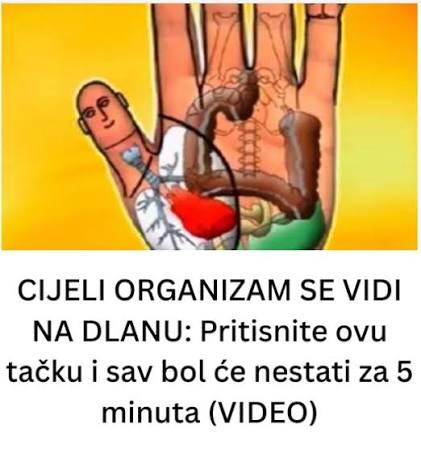 CIJELI ORGANIZAM SE VIDI NA DLANU: Pritisnite ovu tačku i sav bol će nestati za 5 minuta - featured image CIJELI ORGANIZAM SE VIDI NA DLANU: Pritisnite ovu tačku i sav bol će nestati za 5 minuta - featured image
