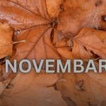 Od novembra kreće njihovo zlatno doba: 3 znaka ulaze u period kakav se čeka cijeli život Od novembra kreće njihovo zlatno doba: 3 znaka ulaze u period kakav se čeka cijeli život - featured image