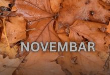 Od novembra kreće njihovo zlatno doba: 3 znaka ulaze u period kakav se čeka cijeli život Od novembra kreće njihovo zlatno doba: 3 znaka ulaze u period kakav se čeka cijeli život - featured image