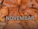 Od novembra kreće njihovo zlatno doba: 3 znaka ulaze u period kakav se čeka cijeli život Od novembra kreće njihovo zlatno doba: 3 znaka ulaze u period kakav se čeka cijeli život - featured image